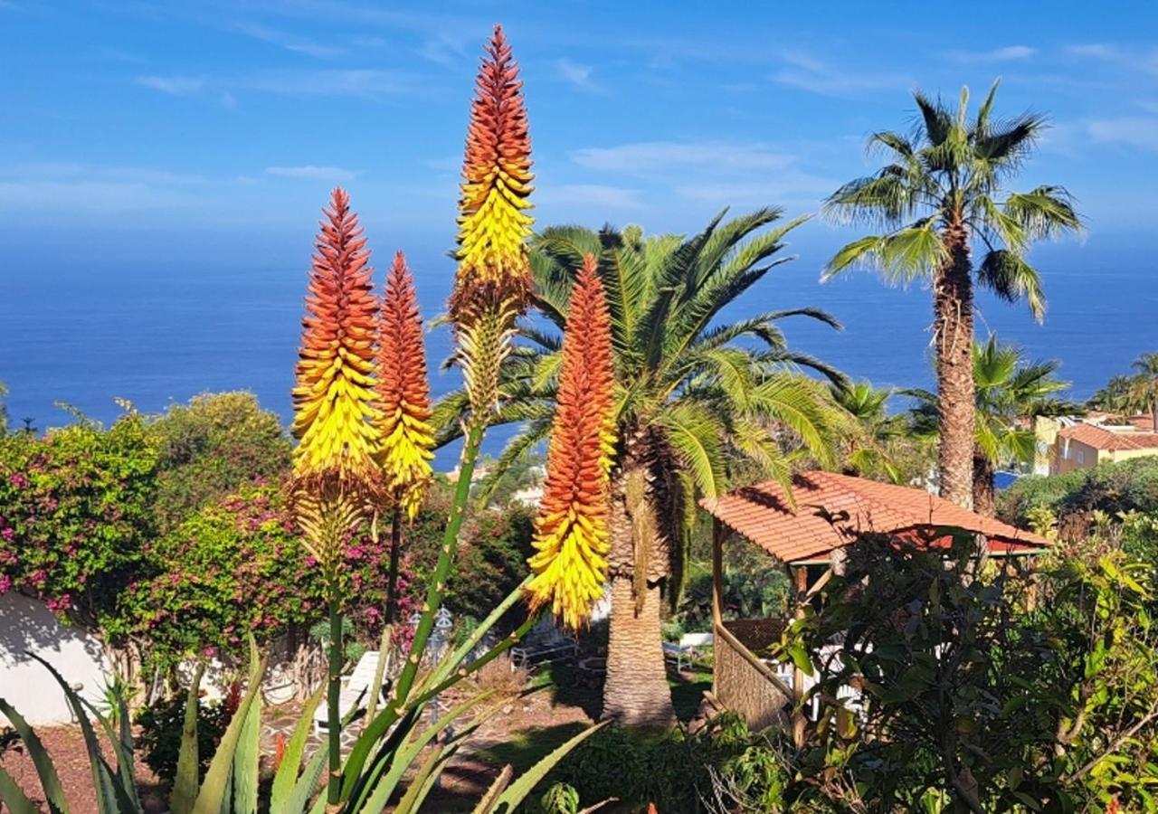 Villa Larnia De Tenerife Sauzal Exterior photo